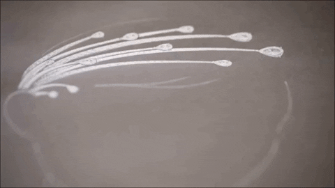 4年后再戴婚礼王冠竟有新寓意！AG真人澳门百家家乐夏琳王妃1(图18)